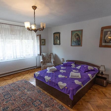 Apartmán Doi Bujori Alba Iulia Exteriér fotografie