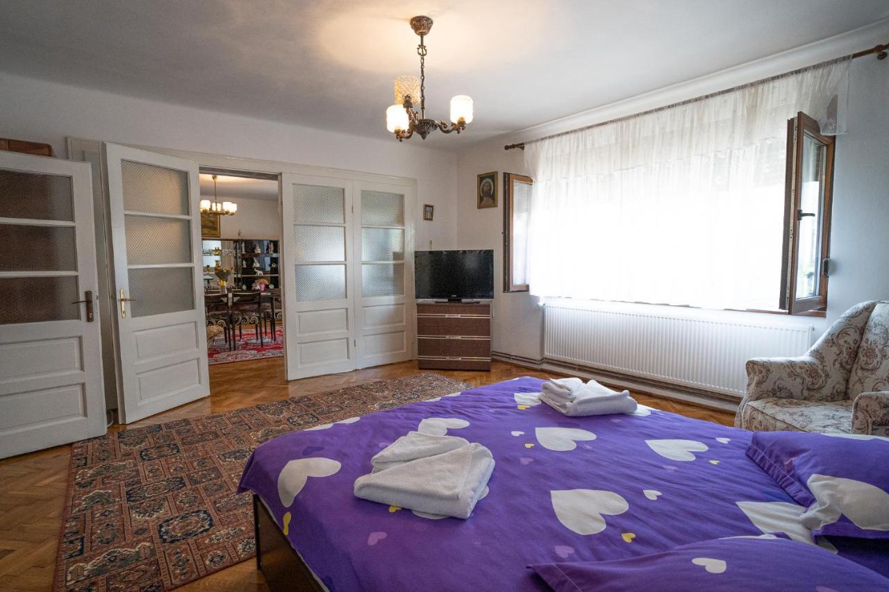 Apartmán Doi Bujori Alba Iulia Exteriér fotografie