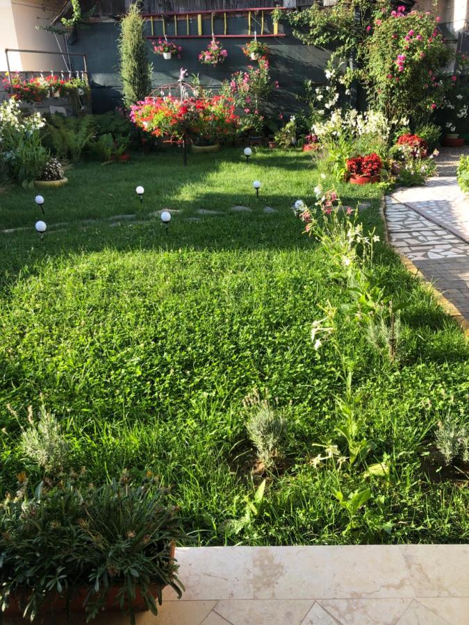 Apartmán Doi Bujori Alba Iulia Exteriér fotografie