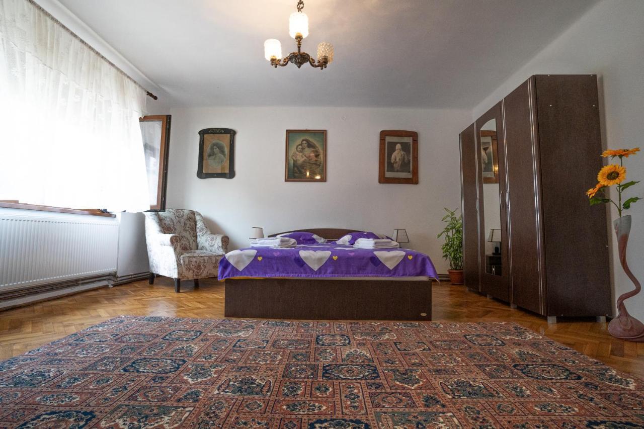Apartmán Doi Bujori Alba Iulia Exteriér fotografie