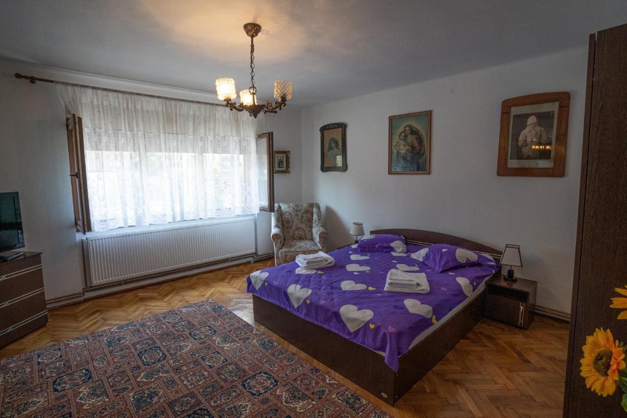 Apartmán Doi Bujori Alba Iulia Exteriér fotografie